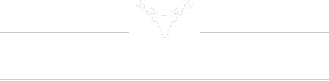Deer Stalking in Scotland